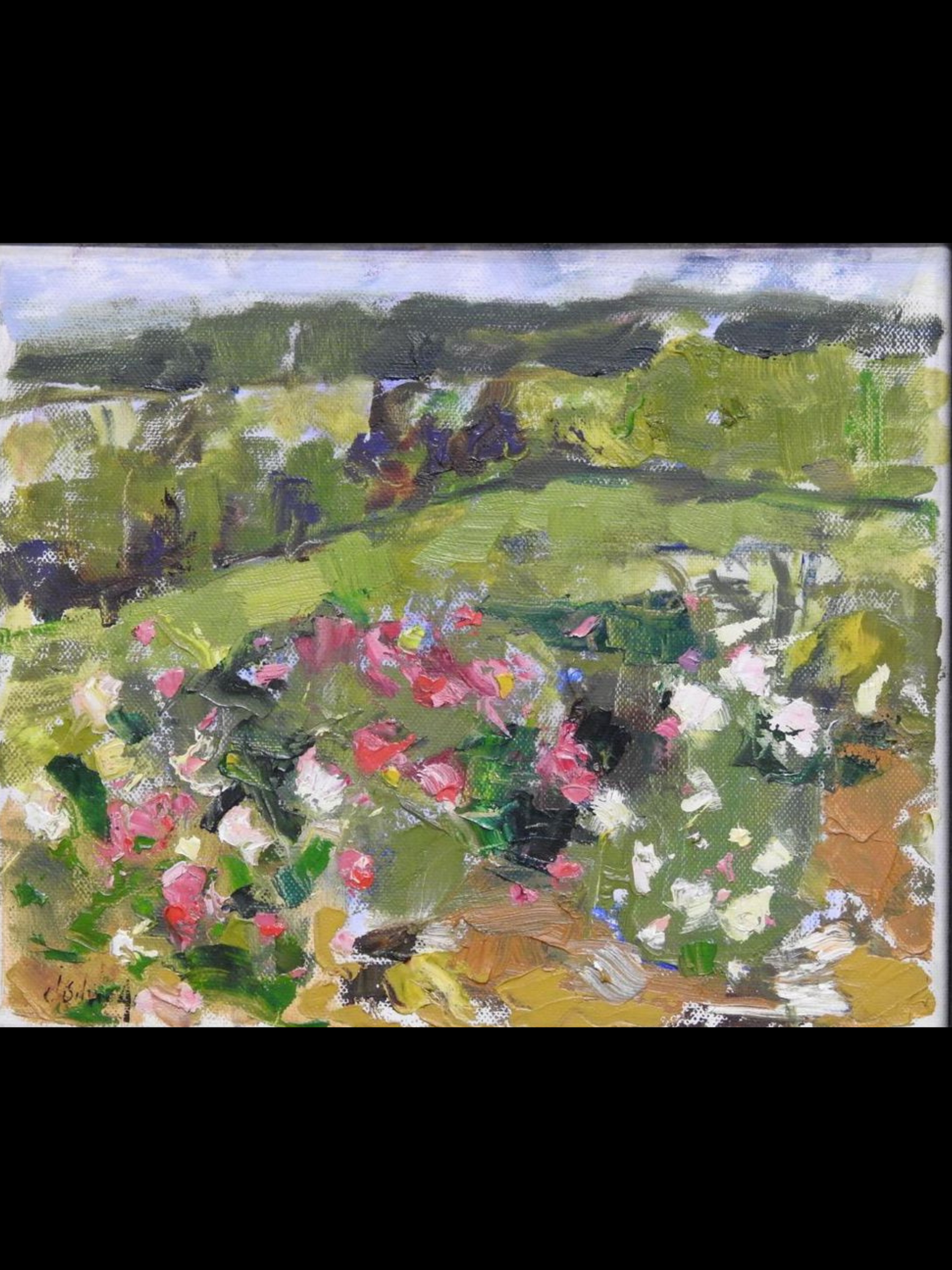 Orange - Oil - Size: 12x10