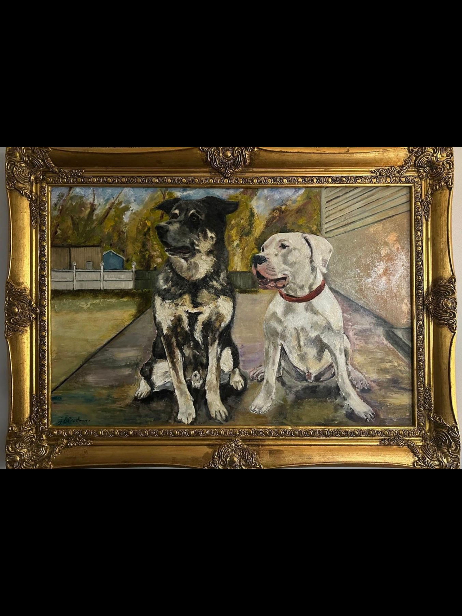 A gift for Pato, Lucky, and Bruno